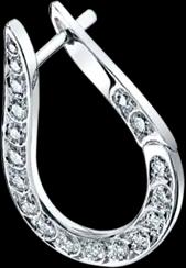 earring